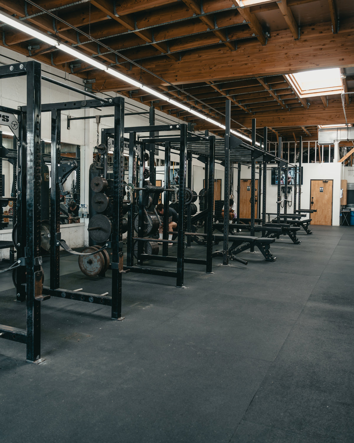 Squat Cages
