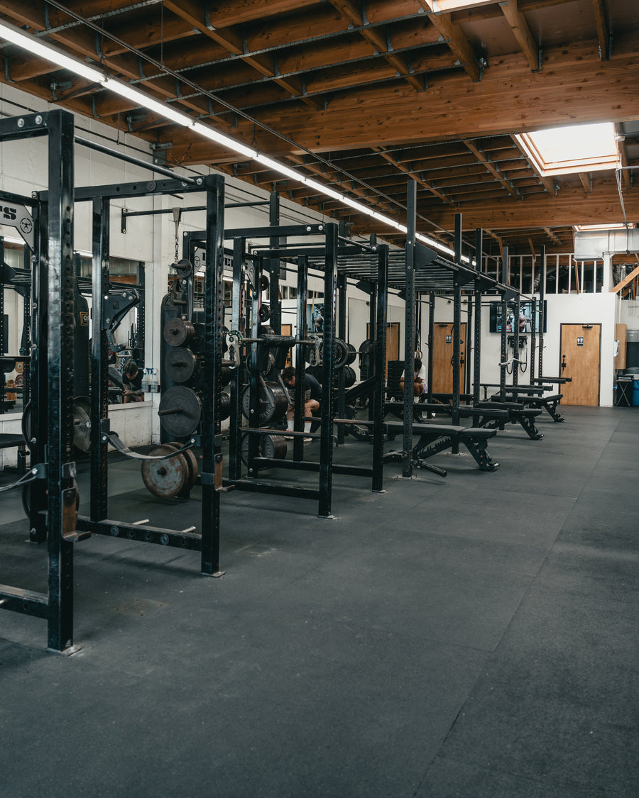 Squat Cages